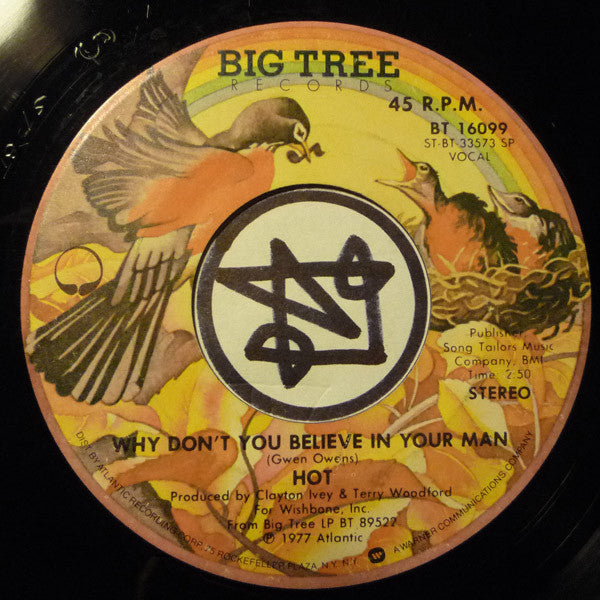 Hot : The Right Feeling At The Wrong Time (7", Single, SP )
