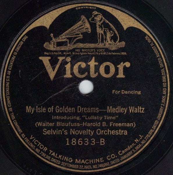 Selvin's Novelty Orchestra : Dardanella / My Isle Of Golden Dreams (Shellac, 10")