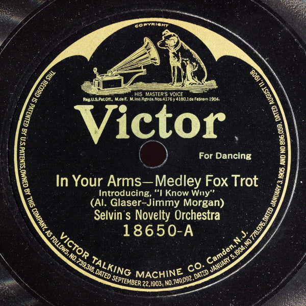 Selvin's Novelty Orchestra / Joseph C. Smith's Orchestra : In Your Arms / That Naughty Waltz (Shellac, 10")